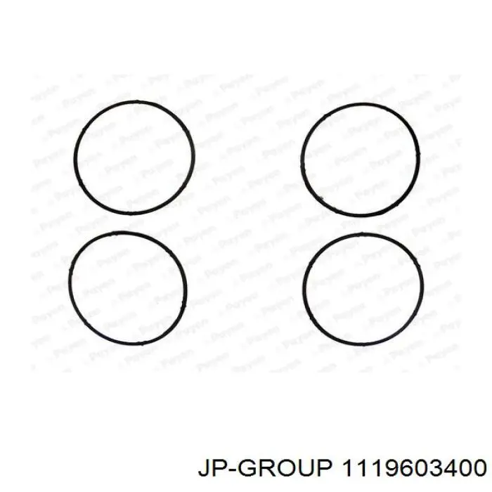 Compre 1119603400 JP Group Vedante de tubo coletor de admissão