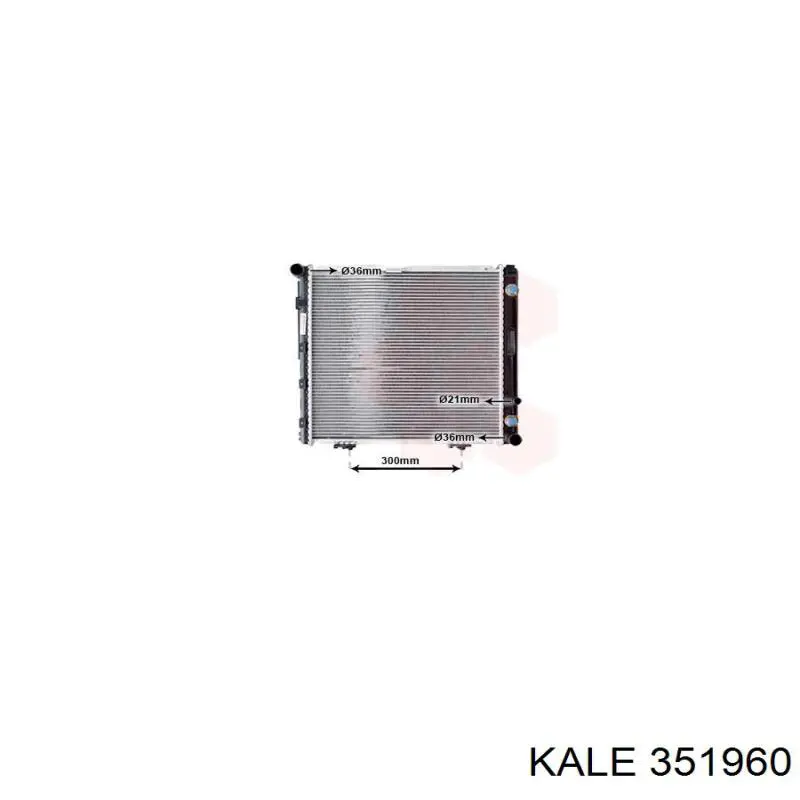 Radiador de esfriamento de motor 351960 Kale