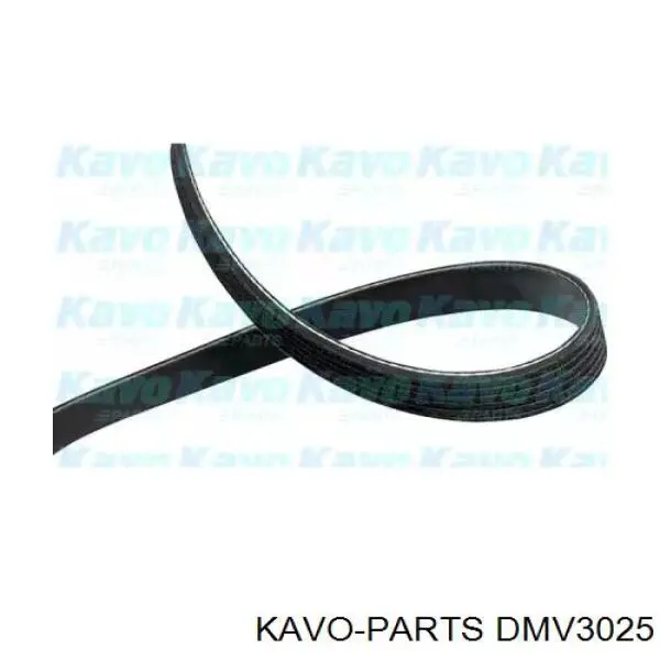 Compre 2521237111BR Hyundai/Kia Correia dos conjuntos de transmissão