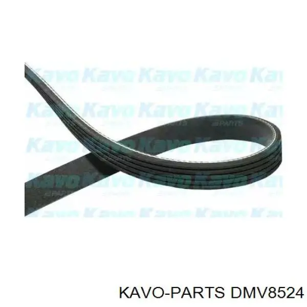 Correia dos conjuntos de transmissão Hyundai/Kia 2521203050 preço, a partir de 24,61 USD