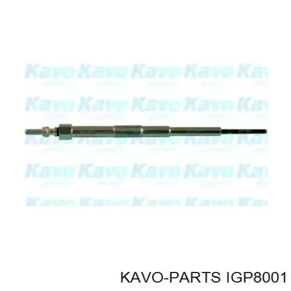 Compre IGP8001 Kavo Parts Vela de incandescência
