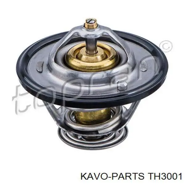 Compre TH3001 Kavo Parts Termostato