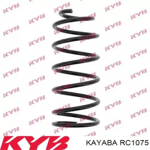Compre ZCJ1075C Japko Mola dianteira