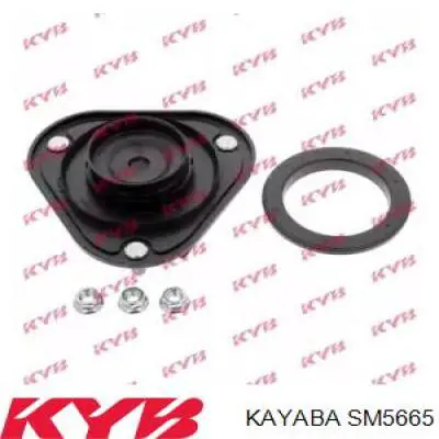 Compre RC05665 Raiso Suporte de amortecedor dianteiro