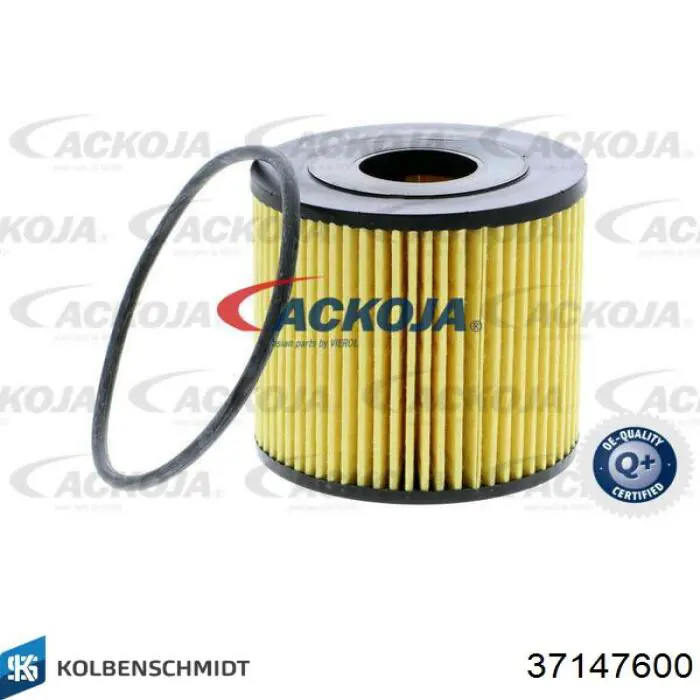 37147600 Kolbenschmidt Folhas inseridas principais de cambota, kit, padrão (STD)