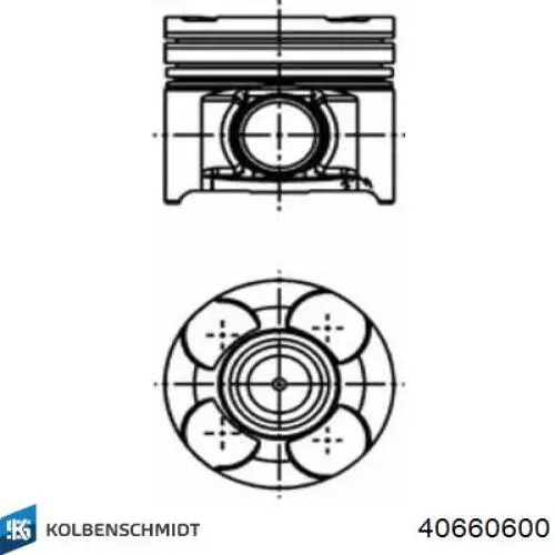 Pistão do kit para 1 cilindro, STD Kolbenschmidt 40660600 preço, a partir de 158,78 USD