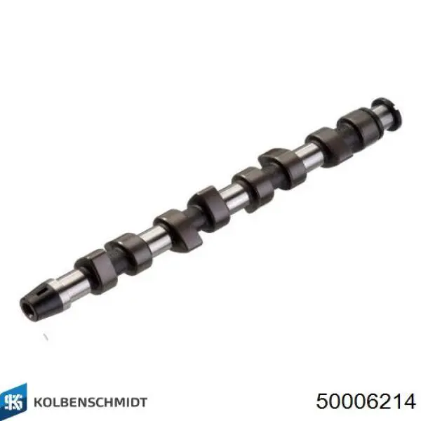 50006214 Kolbenschmidt Árvore distribuidora de motor