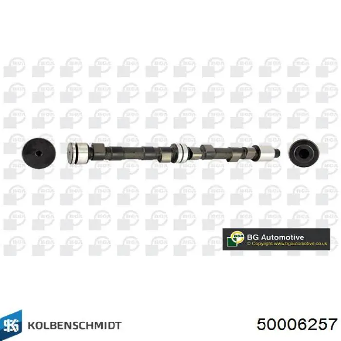 50006257 Kolbenschmidt Árvore distribuidora de motor