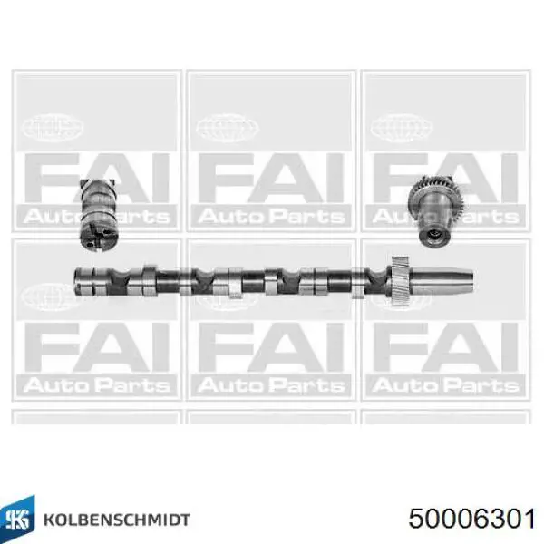 Árvore distribuidora esquerda de admissão de motor Kolbenschmidt 50006301 preço, a partir de 144,61 USD