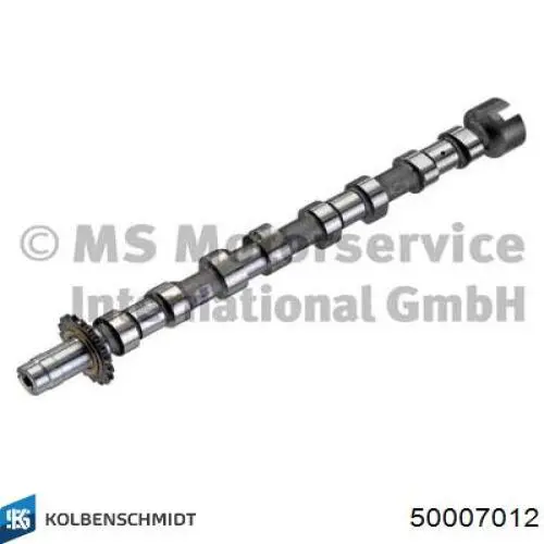Árvore distribuidora de motor de escape Kolbenschmidt 50007012 preço, a partir de 139,84 USD