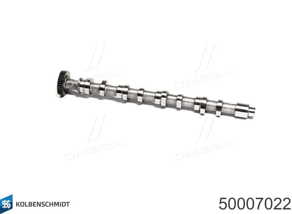 50007022 Kolbenschmidt Árvore distribuidora de motor de escape