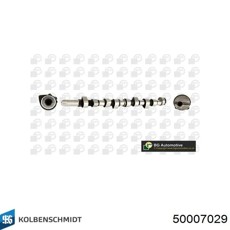 50007029 Kolbenschmidt Árvore distribuidora de motor