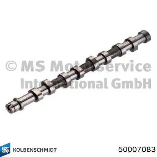 Compre 50007083 Kolbenschmidt Árvore distribuidora de motor