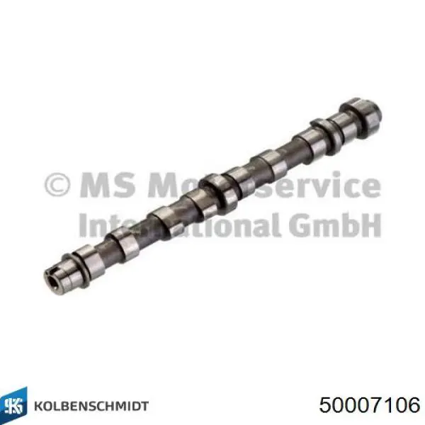 50007106 Kolbenschmidt Árvore distribuidora de motor