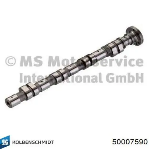 50007590 Kolbenschmidt Árvore distribuidora de motor