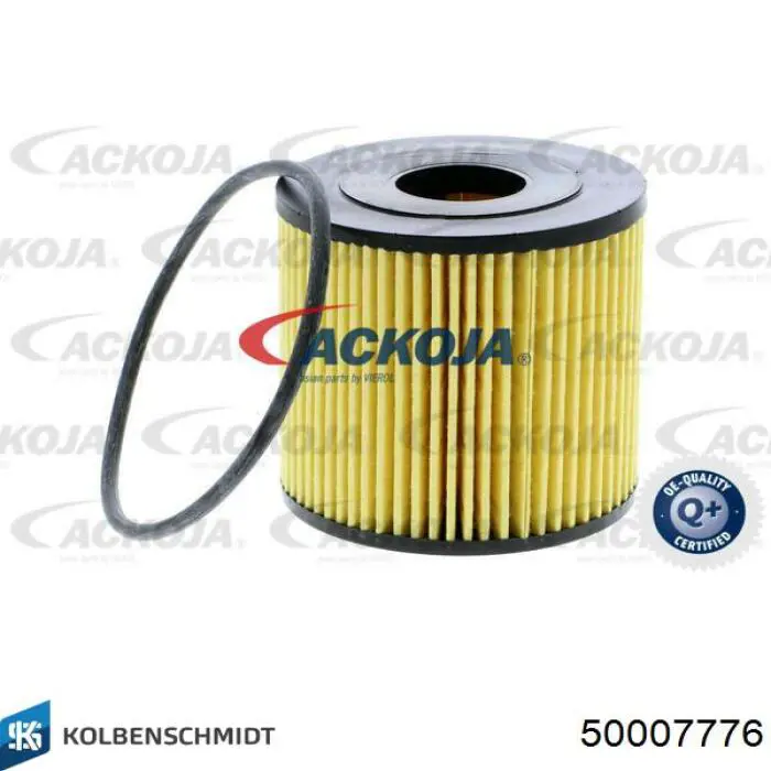 50007776 Kolbenschmidt Árvore distribuidora de motor