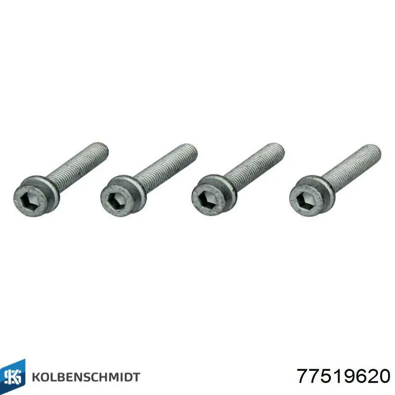 Folhas inseridas principais de cambota, kit, 2ª reparação ( + 0,50) Kolbenschmidt 77519620