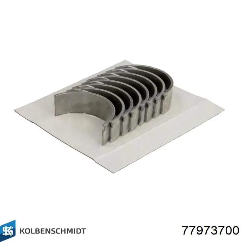 Folhas inseridas principais de cambota, kit, padrão (STD) 77973700 Kolbenschmidt