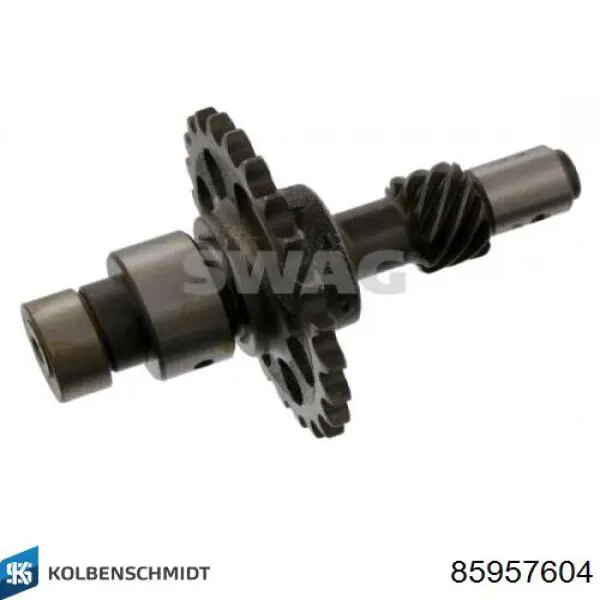85957604 Kolbenschmidt Bucha da árvore intermédia