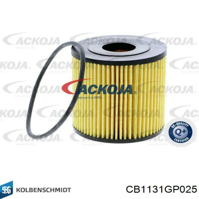 Compre CB1131GP025 Kolbenschmidt Folhas inseridas de cambota de biela, kit, 1ª reparação ( + 0,25)