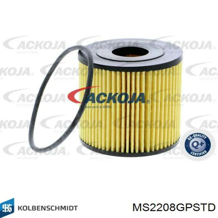 Compre MS2208GPSTD Kolbenschmidt Folhas inseridas principais de cambota, kit, padrão (STD)