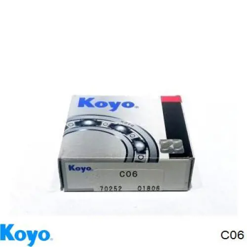  Koyo C06