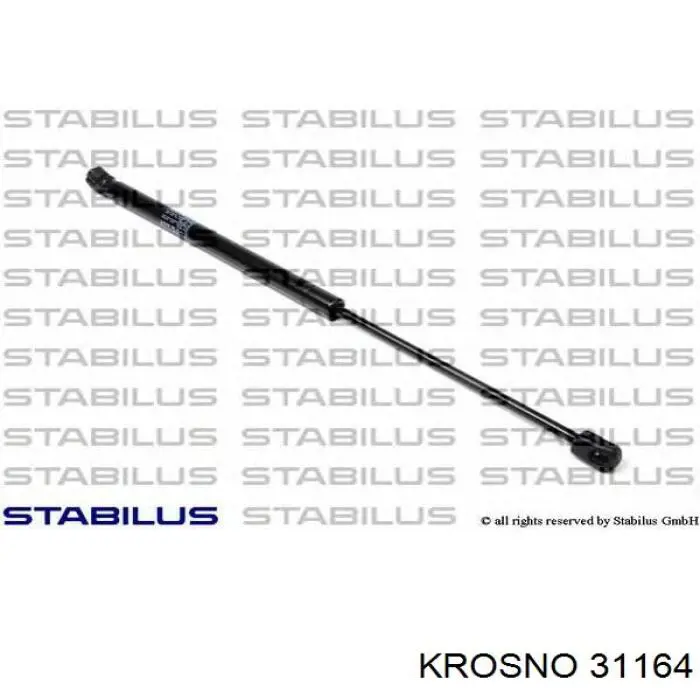 31164 Krosno 