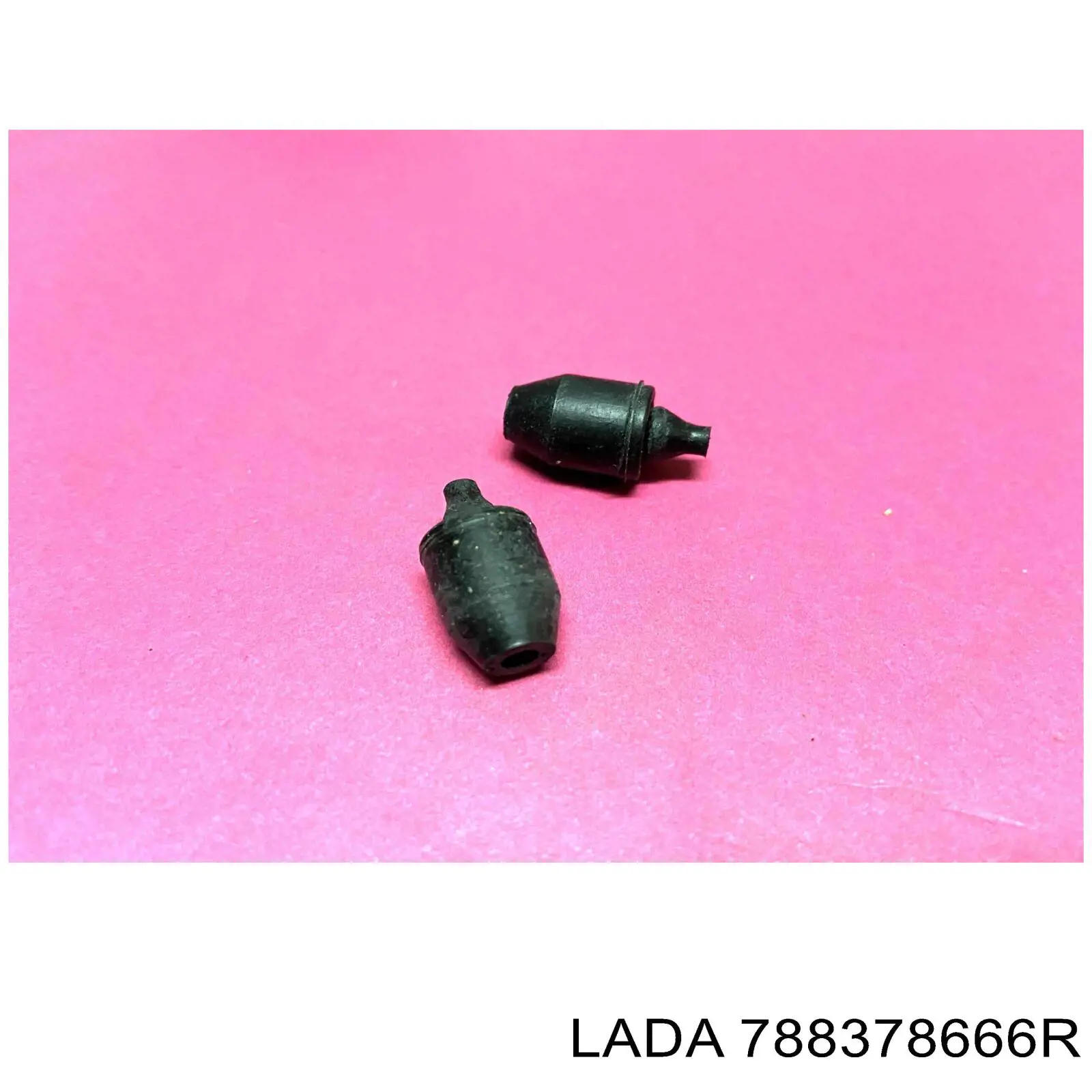 788378666R Lada Grade de proteção do alcapão do tanque de combustível
