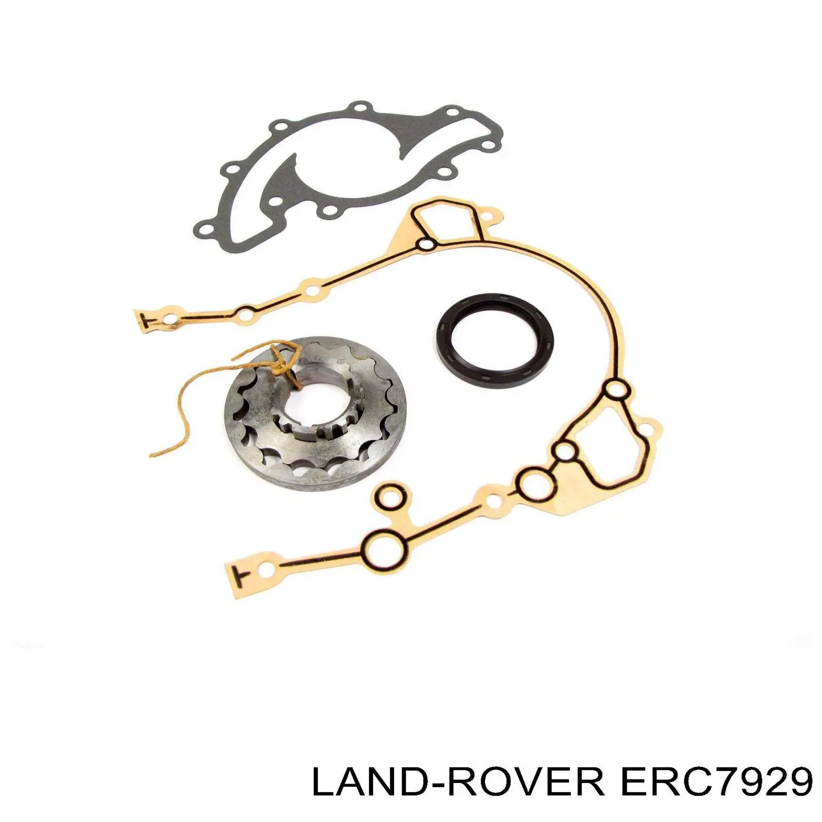 Compre ERC7929 Land Rover Cadeia do mecanismo de distribuição de gás