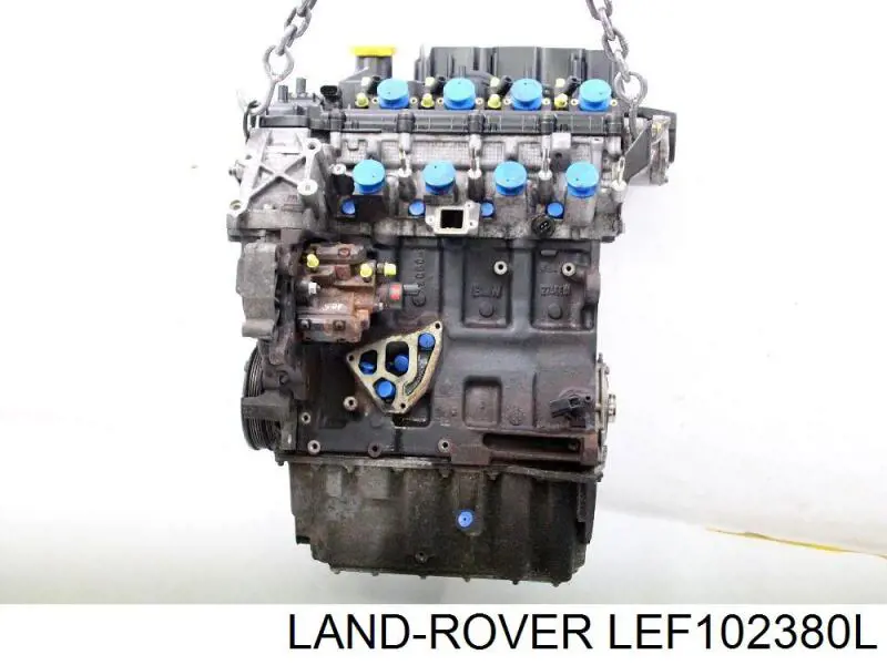 Cambota de motor Land Rover Freelander I L314