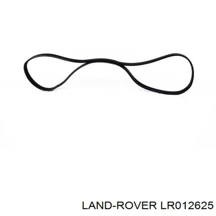 Correia dos conjuntos de transmissão Land Rover LR012625