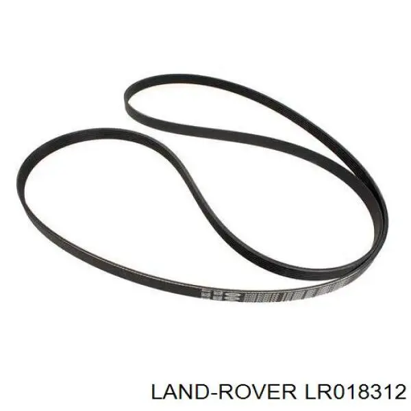 LR018312 Land Rover Correia dos conjuntos de transmissão