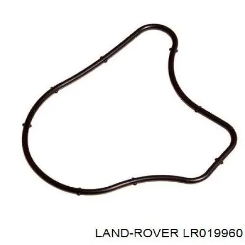 LR019960 Land Rover Vedante de bomba de vácuo