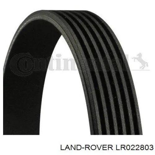 LR022803 Land Rover Correia dos conjuntos de transmissão