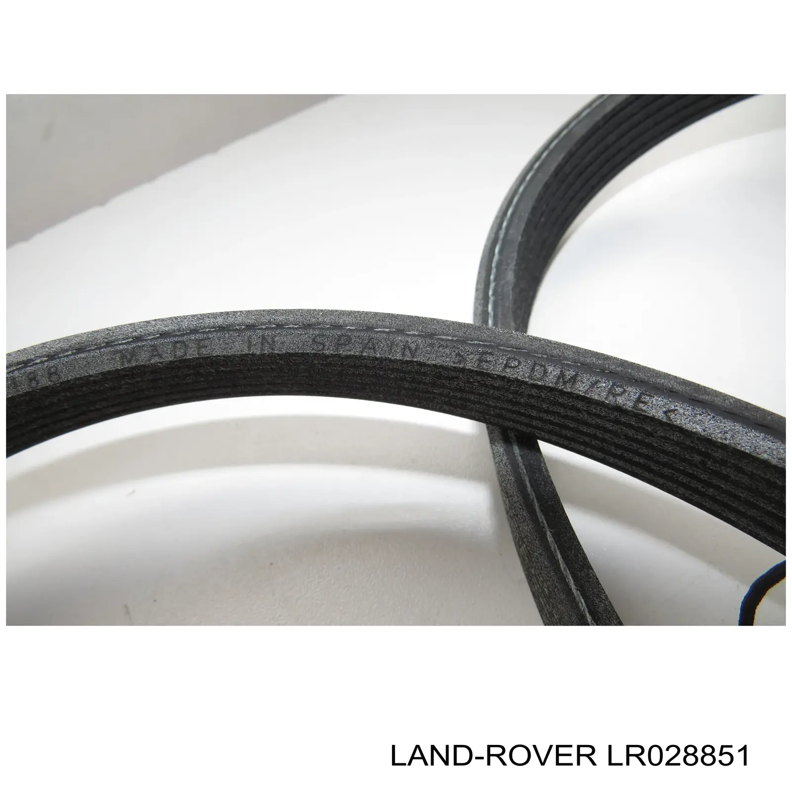 Correia dos conjuntos de transmissão Land Rover LR028851 preço, a partir de 29,74 USD