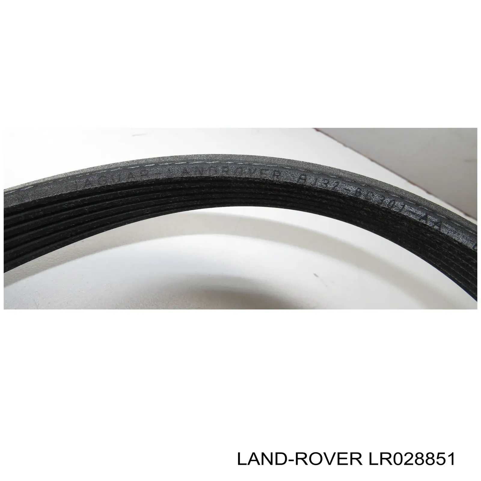 Compre LR028851 Land Rover Correia dos conjuntos de transmissão