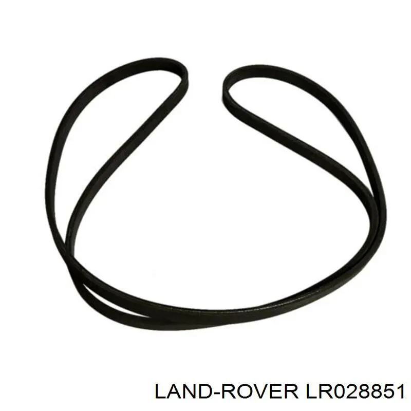 Correia dos conjuntos de transmissão Land Rover LR028851