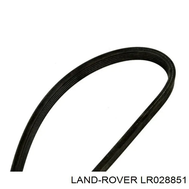 Compre LR028851 Land Rover Correia dos conjuntos de transmissão