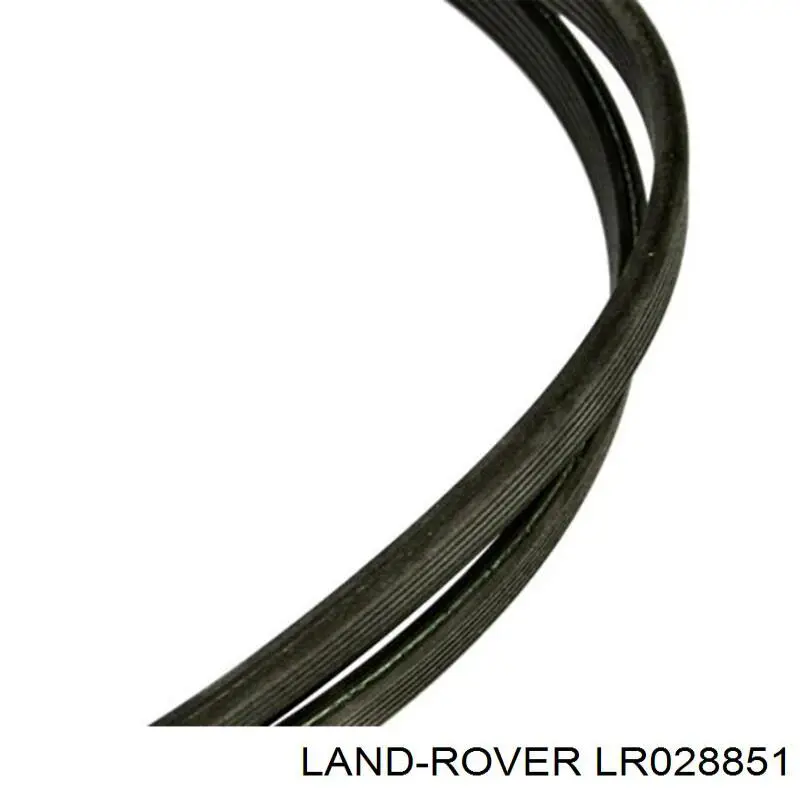 Correia dos conjuntos de transmissão Land Rover LR028851 preço, a partir de 29,74 USD