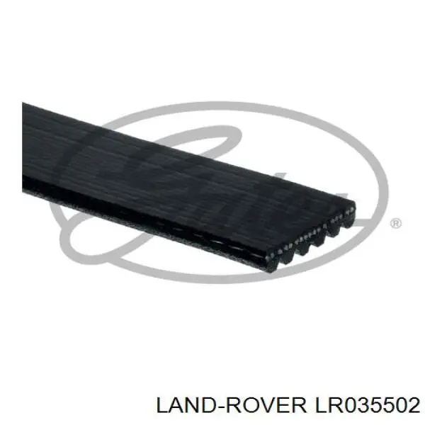 LR035502 Land Rover Correia dos conjuntos de transmissão