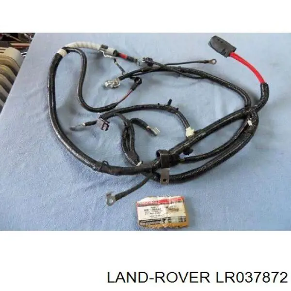 Compre LR048604 Land Rover Cabo de terra de bateria recarregável (PILHA)