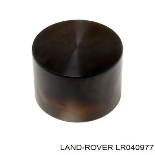 Sapato de reguladora de tensão da cadeia do mecanismo de distribuição de gás Jaguar C2Z28431 preço, a partir de 164,28 USD