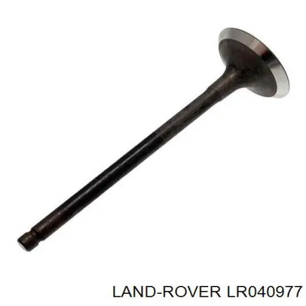 Sapato de reguladora de tensão da cadeia do mecanismo de distribuição de gás Land Rover LR010769 preço, a partir de 164,28 USD