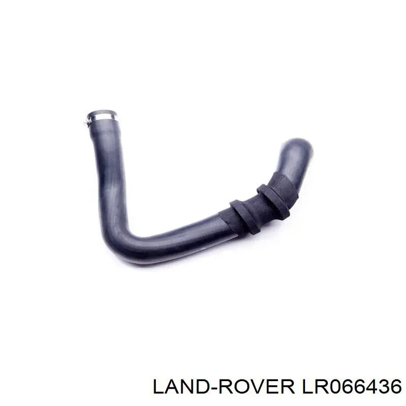 LR066436 Land Rover Mangueira (cano derivado) de intercooler