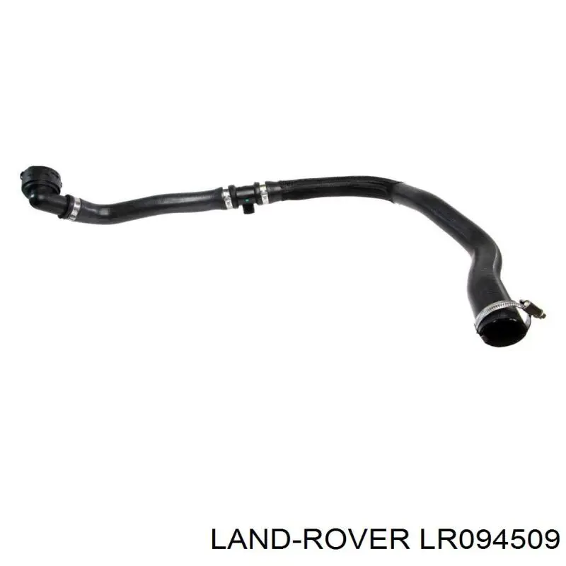 LR028236 Land Rover Mangueira (cano derivado) do radiador de esfriamento superior