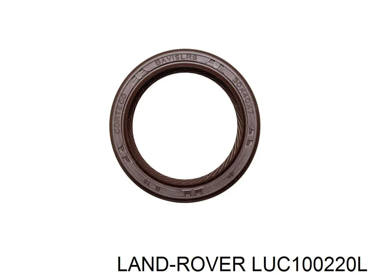 Compre LUC100220L Land Rover Vedação traseira da árvore distribuidora de motor