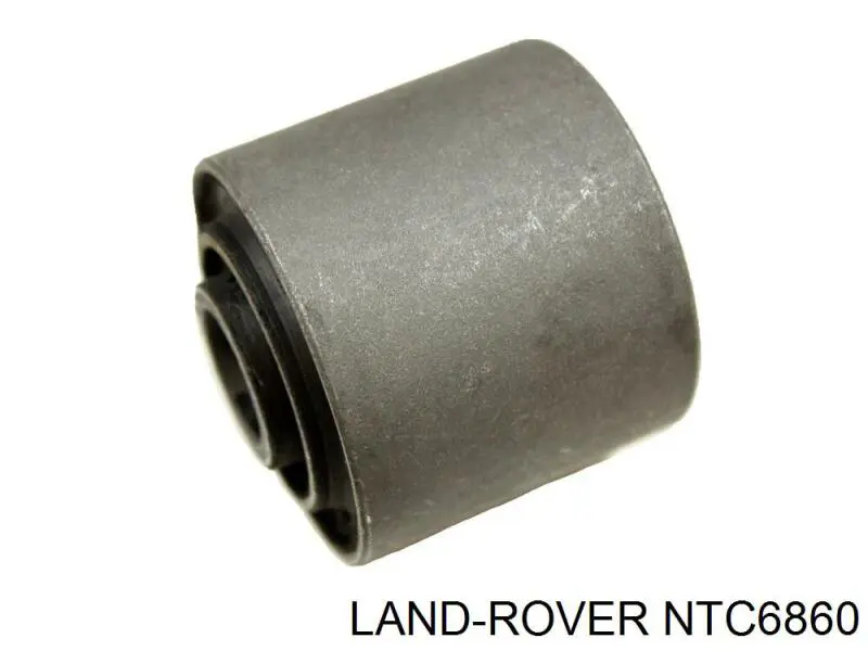 Compre NTC6860 Land Rover Bloco silencioso radial de braço oscilante (de suspensão dianteira)