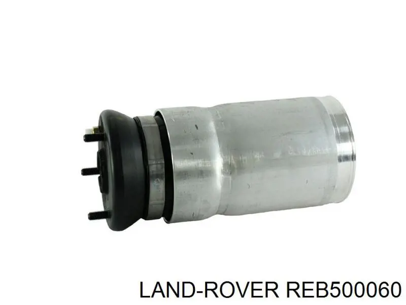 REB500060 Land Rover Coxim pneumático (suspensão de lâminas pneumática) do eixo dianteiro