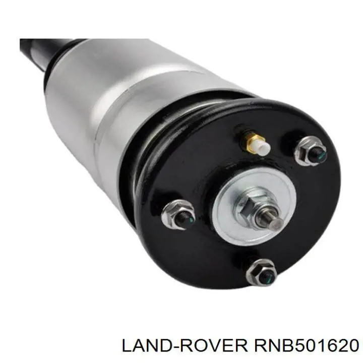 Amortecedor dianteiro Land Rover RNB501620 preço, a partir de 334,86 USD