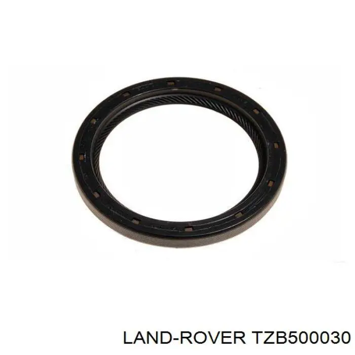 734319695 ZF Parts Vedação da Caixa Automática de Mudança (de árvore de saída/primária)
